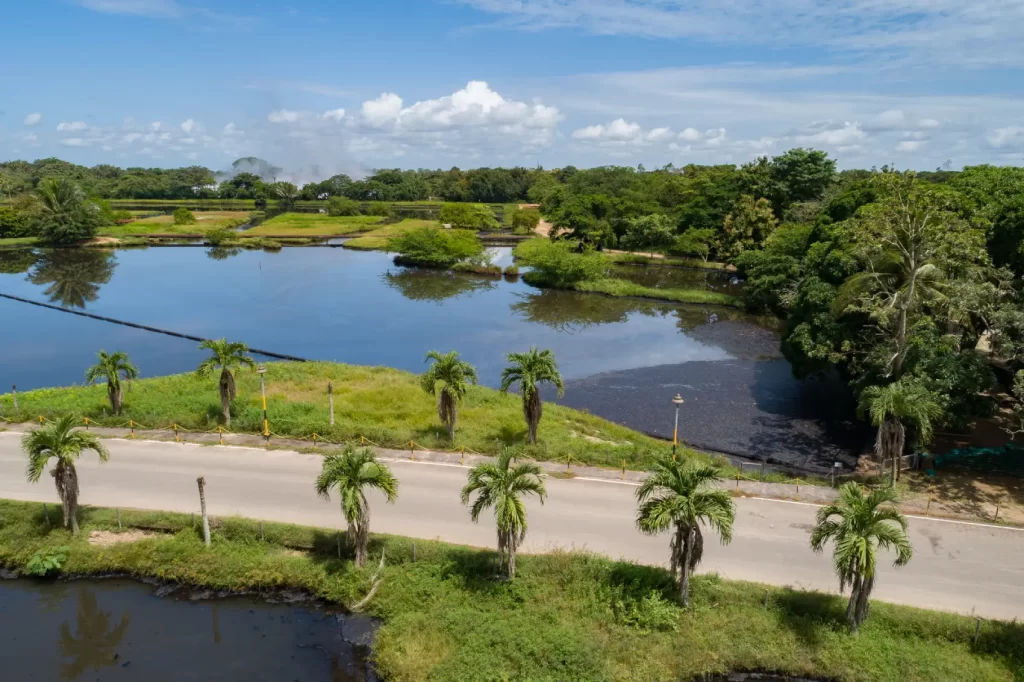 sede la cifra infantas