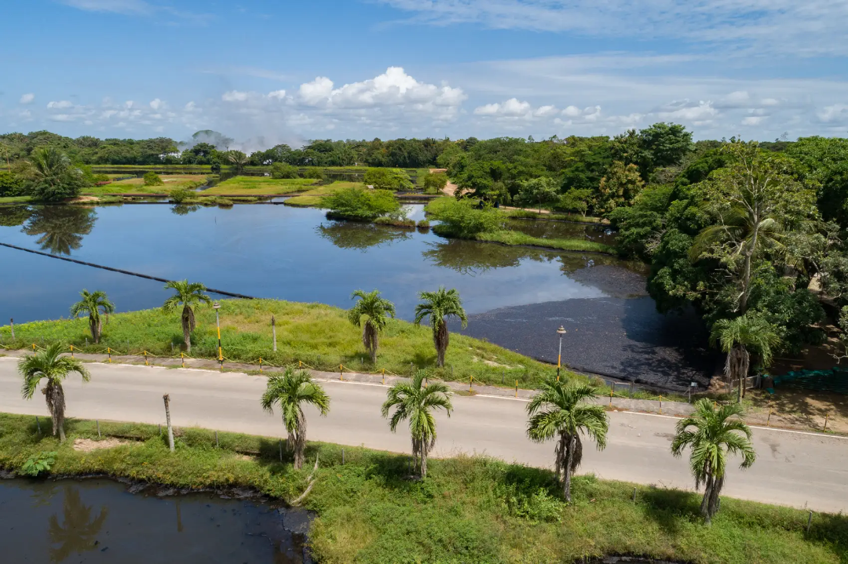 sede la cifra infantas